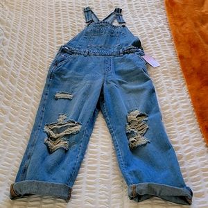 Nwt overalls wild fable size medium.